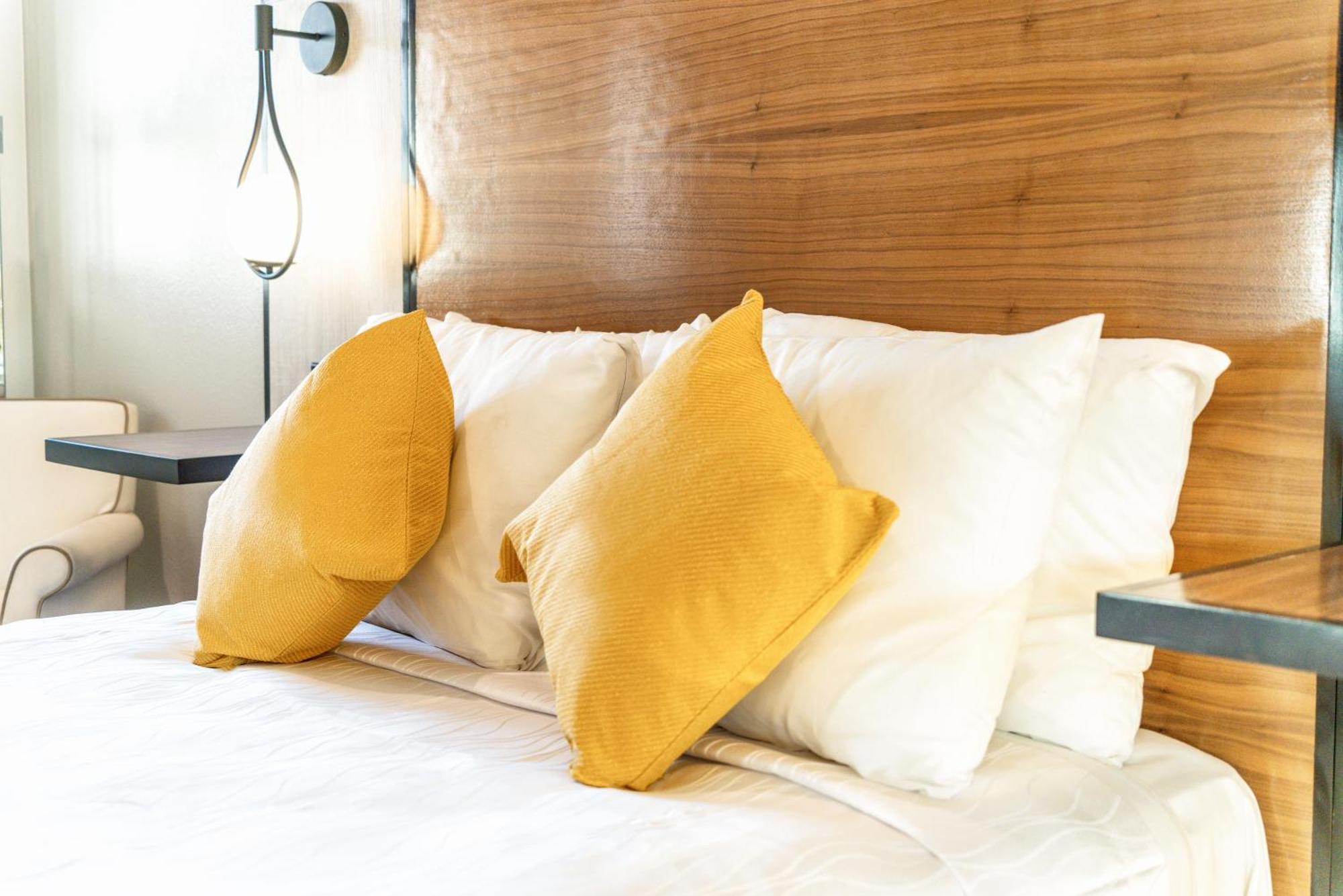 Aspire Inn Studios & Spas 贝尔弗劳尔 外观 照片
